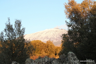 Monte Minardo